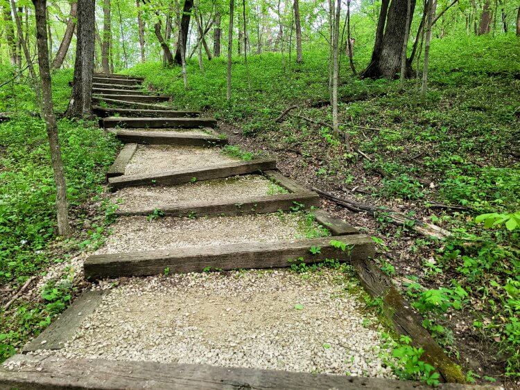 Steps on a trail